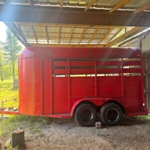 Buy Two horse livestock trailer