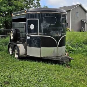 2 horse straight load trailer